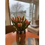 Apartament Penthouse Zonnestap *